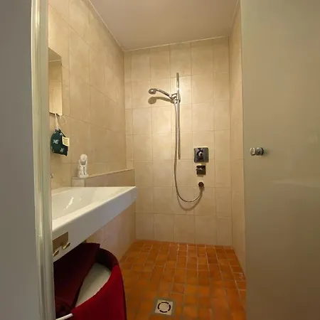 Modernes Alpenapartment Mit Sauna Wintergarten Und Pool Σάλτσμπουργκ