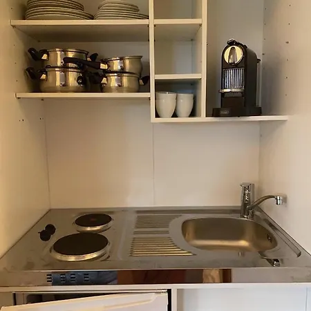 Modernes Alpenapartment Mit Sauna Wintergarten Und Pool Appartement Salzbourg