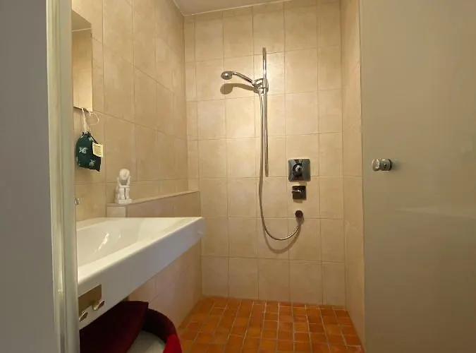 Modernes Alpenapartment Mit Sauna Wintergarten Und Pool سالزبورغ