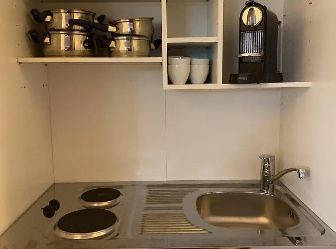 Modernes Alpenapartment Mit Sauna Wintergarten Und Pool شقة سالزبورغ