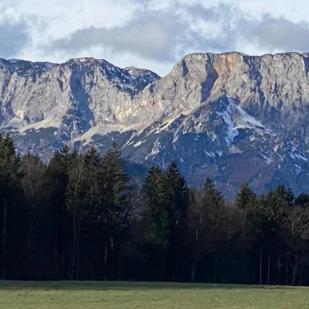 Daire Modernes Alpenapartment Mit Sauna Wintergarten Und Pool Salzburg