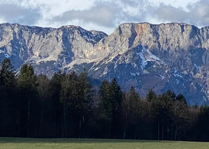 Daire Modernes Alpenapartment Mit Sauna Wintergarten Und Pool Salzburg